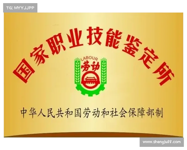 男格斗职业五大核心技能全面解析与发展路径探讨 男格斗职业五大核心技能全面解析与发展路径探讨
