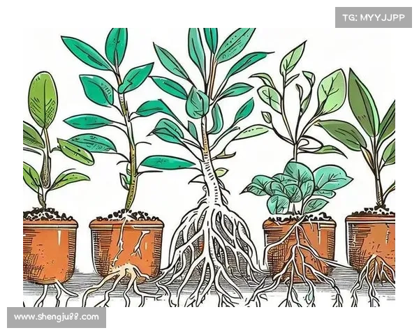 卷帘绿魔的生态秘密与养护技巧全解析打造健康绿植环境秘诀 卷帘绿魔的生态秘密与养护技巧全解析打造健康绿植环境秘诀