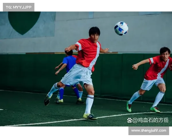 2024年足球盛事全面解析精彩亮点与看点提前预览